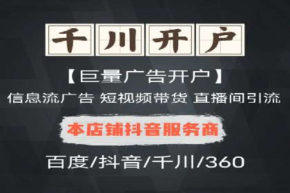 某电商平台的SEM推广策略及效果分析